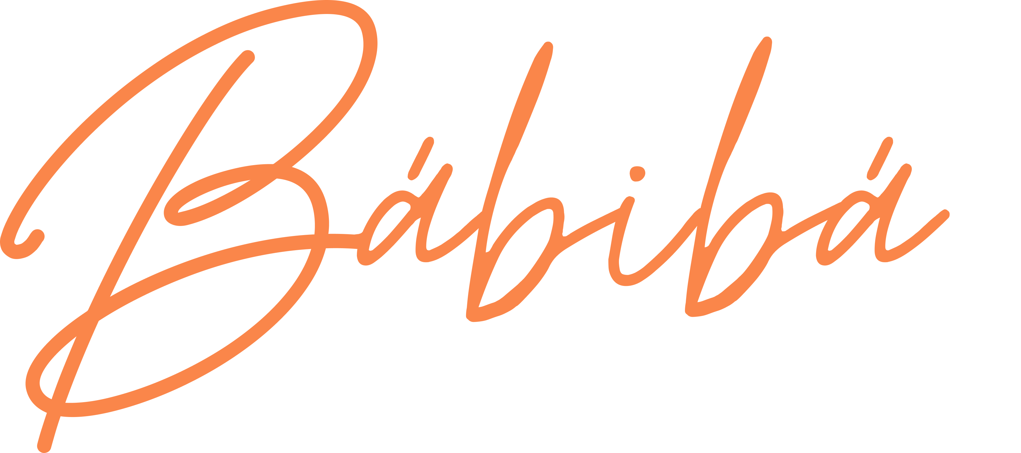 Bábibá Swimwear